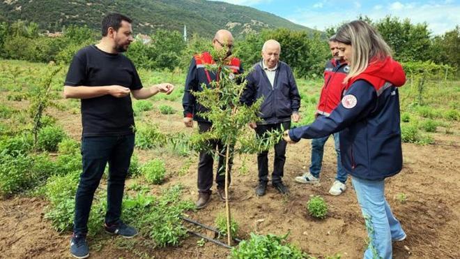 Konyalı üretici kirazı bıraktı, o ürüne geçti! Hasadı da satışı da daha kolay: Talebe yetişemiyor