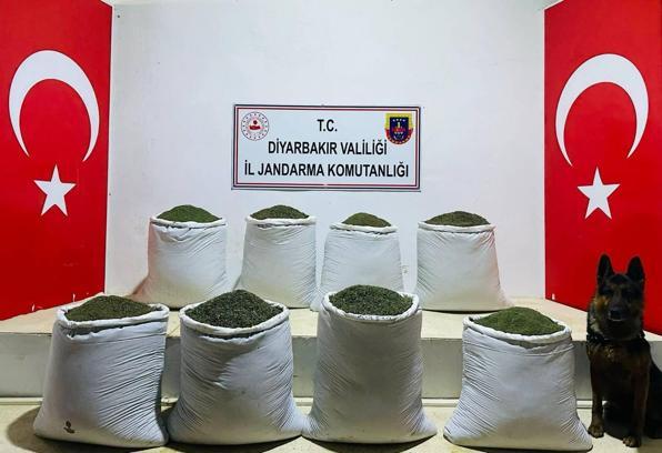 Diyarbakır'da 169 kilo esrar ele geçirildi