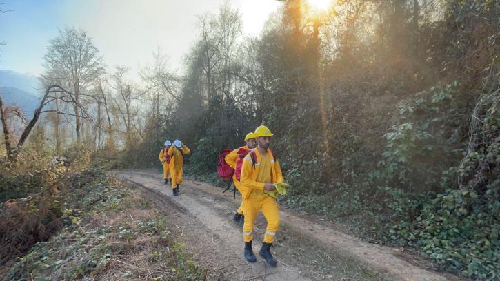 Artvin’de orman yangını söndürüldü