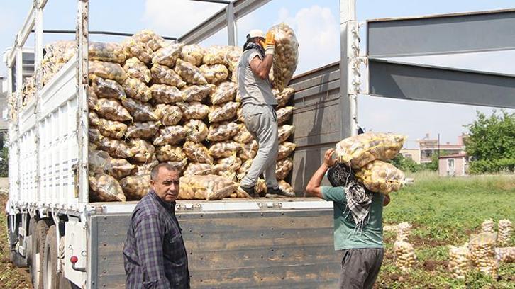 Patates üreticisi, market boykotuyla alım fiyatını yüzde 20 artırdı