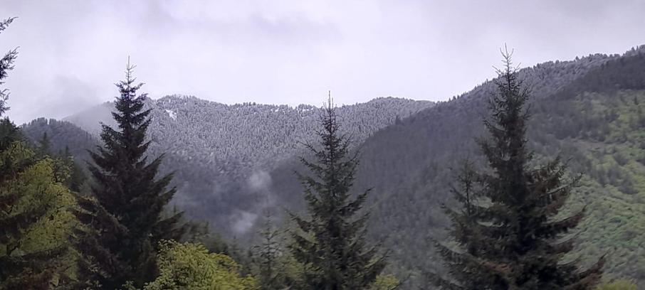 Doğu Karadeniz'de kış geri döndü