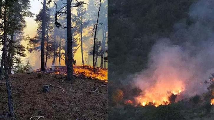 Adana'da yangınların önüne geçebilmek amacıyla ormanlık alanlara girişler yasaklandı! Valilik duyurdu
