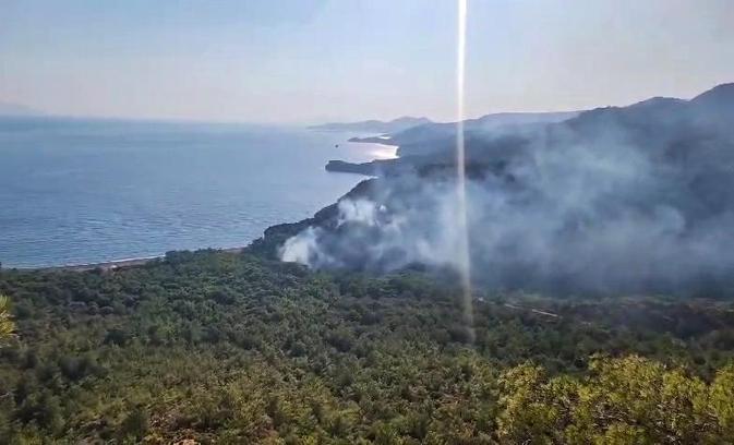 Datça'daki orman yangınında 1 gözaltı