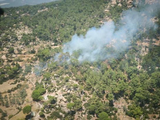 Muğla'da orman yangını