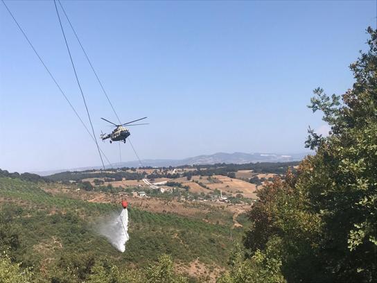 Bursa'da yeni orman yangını