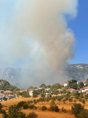 Muğla'da orman yangını