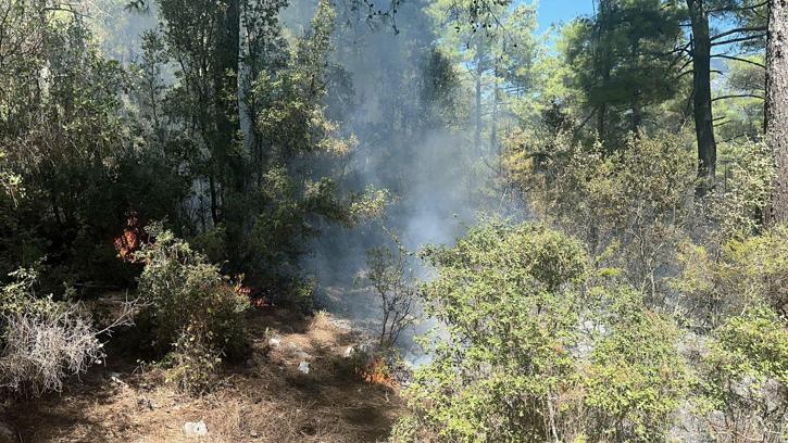 Muğla'da düşen yıldırımdan çıkan yangın söndürüldü