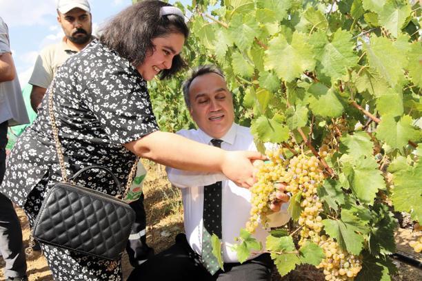 TOGÜ'de bağ bozumu gerçekleştirildi