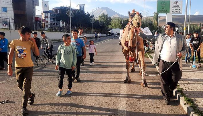 Antalya'dan Ağrı'ya kurbanlık gönderilen deveye ilgi