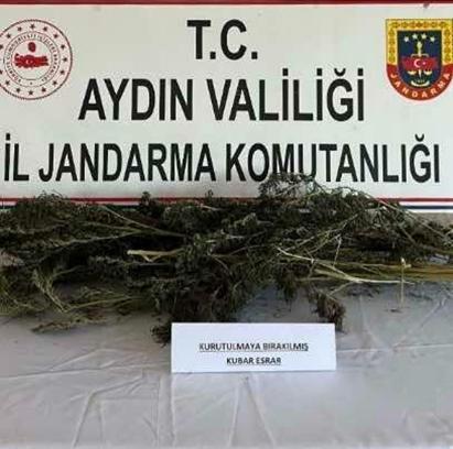 Evinde 250 gram esrar ve 153 kök Hint keneviriyle yakalandı