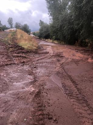 Ahlat'ta sağanak sele neden oldu