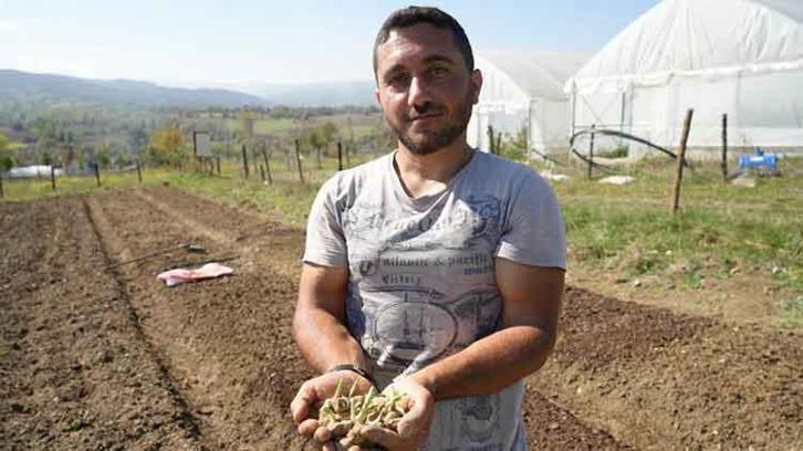 Doğada toplanması yasak: Kastamonu'da yetiştirdiği saleplerle paraya para demiyor