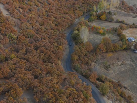 Bingöl'de sonbahar güzelliği dronla görüntülendi