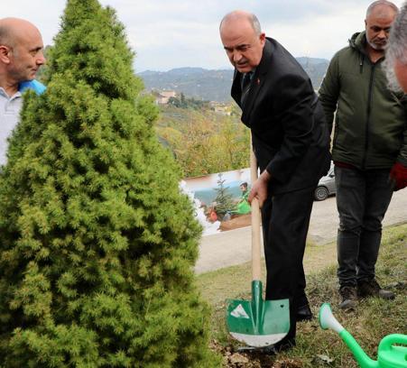 Ordu’da 20 noktada 4 bin 877 fidan toprakla buluşturuldu