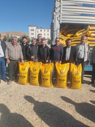 Kozluk'ta, çiftçilere sertifikalı kırmızı mercimek tohumu desteği