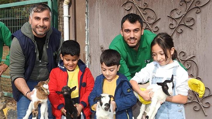 Gaziantep Zoo Parkı'nda bin 100 doğum sevinci yaşandı