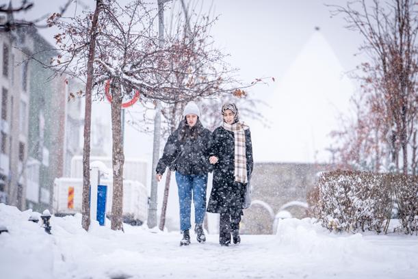 Erzurum, Tunceli ve Erzincan karla kaplandı