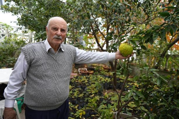 Samsun'da emekli öğretmen bahçesinde 50 ülkeyi bir araya getirdi: 200 çeşit meyve yetiştiriyor