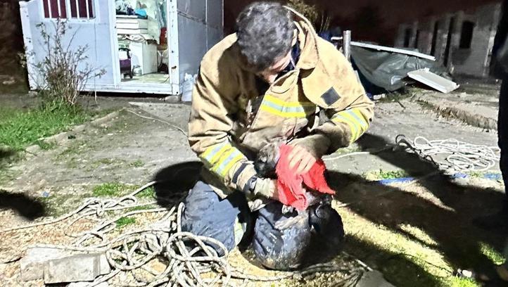 Hatay’da 17 metrelik kuyuya düşen yavru köpek kurtarıldı