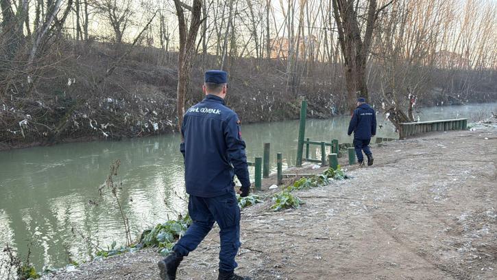 Balık sürüsünün peşinden Bartın Irmağı'na giren yavru yunus bulunamadı