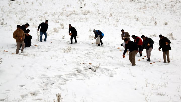 Muradiye'de gönüllüler sokak hayvanlarını unutmadı