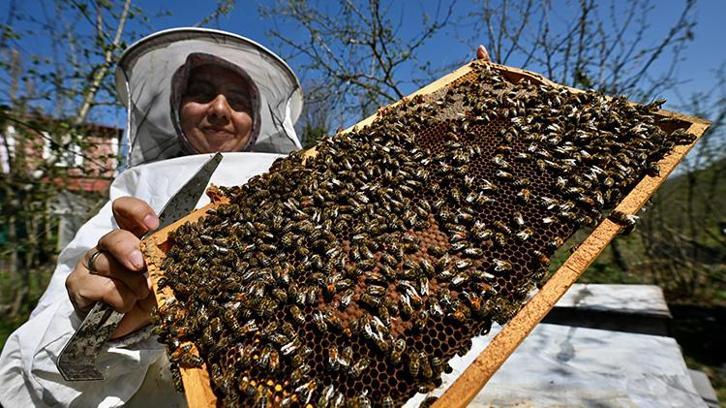 Ata mesleğinin eğitimini, devletin desteğini arkasına alan girişimci kadın kovanların başına geçti! Balın yanında arı ekmeği de üretiyor