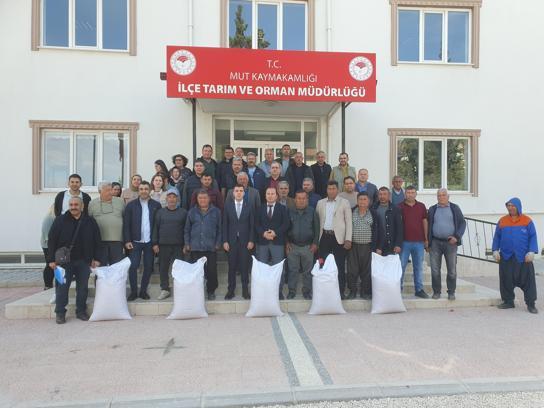 Mut'ta 7 ton nohut tohumu dağıtıldı
