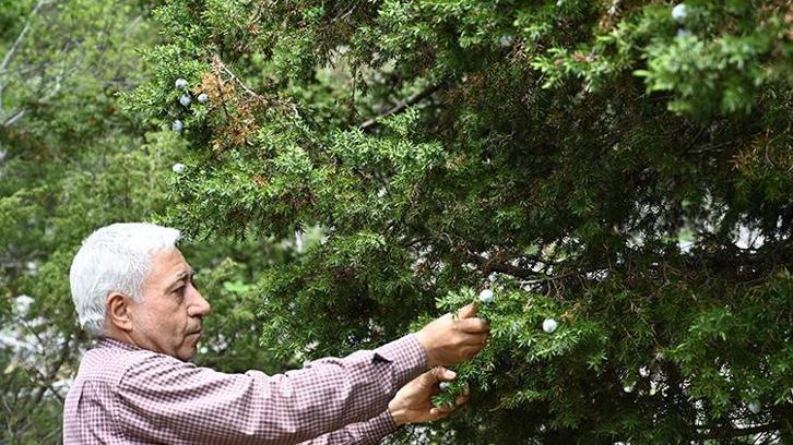 Ham maddesi doğadan, işçiliği Mustafa Usta'dan! İnternetten sattığı tespihlerin siparişlerine yetişemiyor