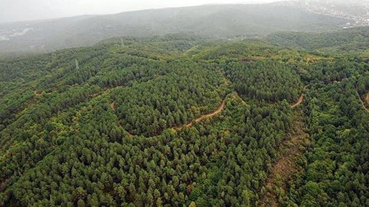 Burdur Valisi açıkladı! Ormanlık alanlara girişler yasaklandı