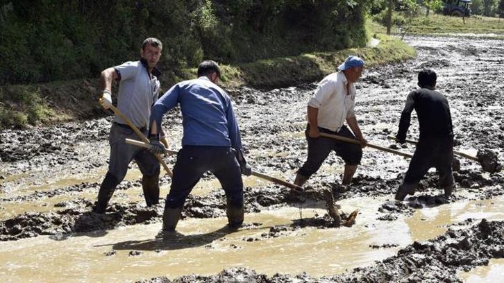 Bitlis'te yüzyıllardır devam ediyor! Bütün köy toplanıp yapıyor, 100 lira fiyatı var