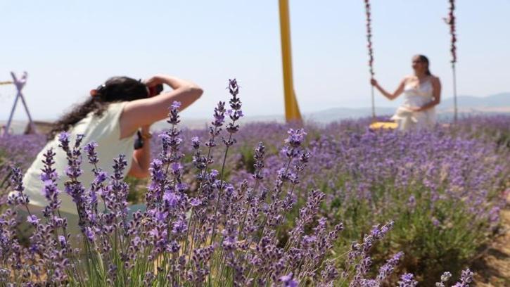 Tekirdağ'da lavanta tarlaları fotoğraf tutkunlarını ağırlıyor