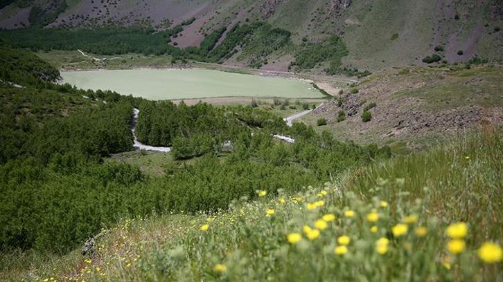 Avrupa'da en seçkin yer seçildi! Bitlis'te gören akın ediyor: