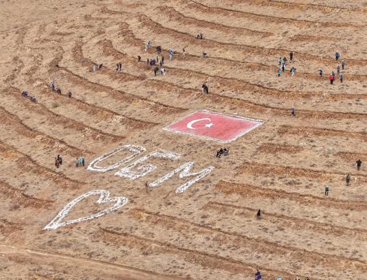 Kayseri’de 35 bin fidan dikildi