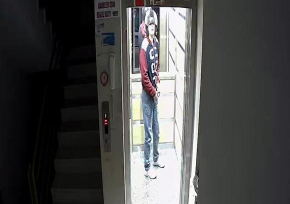 Kaskla apartmana girip, damdaki kuşları çalan şüpheli tutuklandı