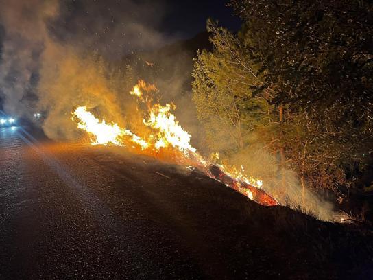 Yol kenarında çıkan yangın, ormana sıçradı