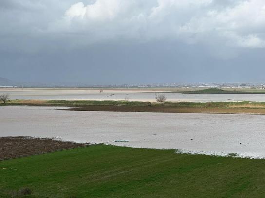 İzmir'de yağışlar çiftçinin yüzünü güldürdü