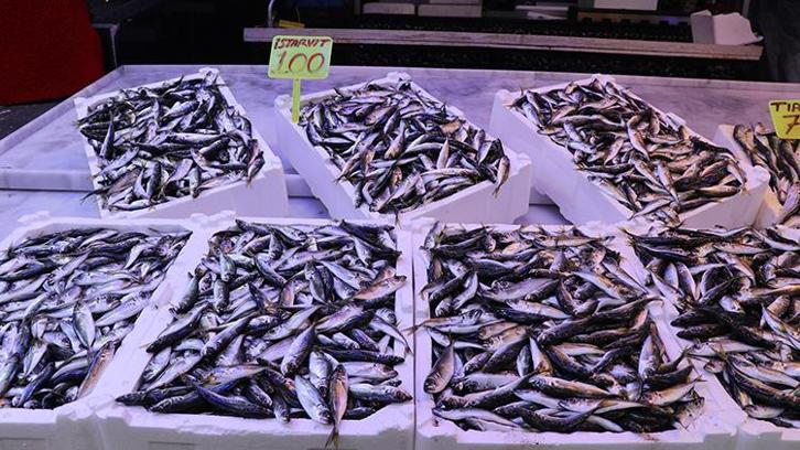 Hamsi gitti, istavrit geldi! Rize Balıkçı Pazarı'nda vatandaşın yeni favorisi belli oldu