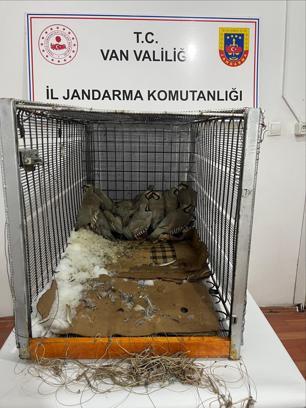 Van'da keklik avına 75 bin TL ceza