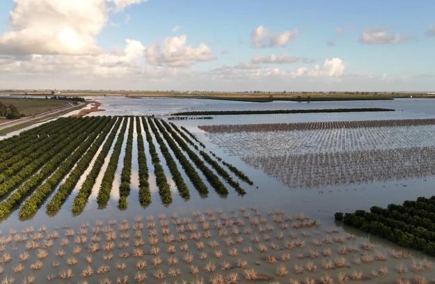 Tarsus’ta sular altında kalan tarım arazileri havadan görüntülendi