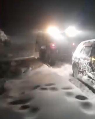 Zonguldak'ta yaylada mahsur kalan 2 kişi kurtarıldı