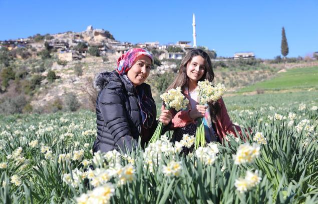 Nergis projesi kırsal kalkınmaya destek oluyor