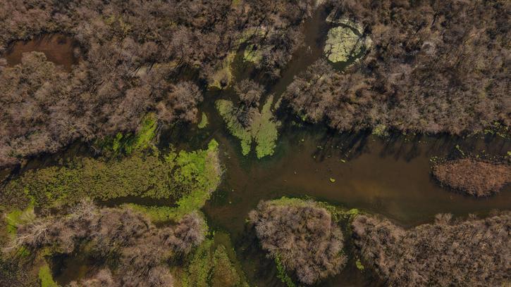 Türkiye’nin 3’üncü büyük longozu yeniden su ile doldu
