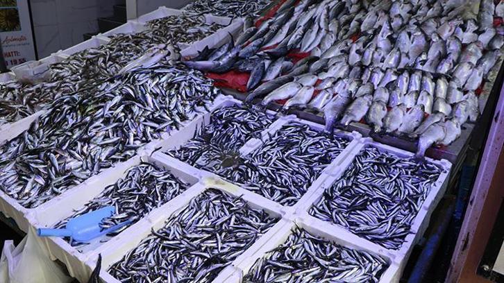 Karadeniz’de hamsi patlaması yaşanıyor ama tezgahlar sessiz: Bayram telaşı balığı unutturdu!