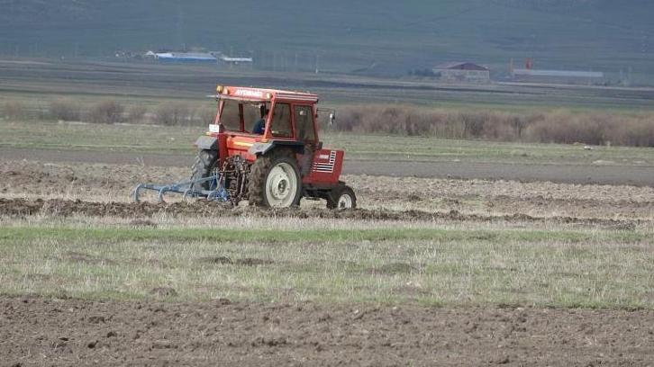 Ardahan’da karlar eridi, çiftçi tarlalara indi! Arpa ve buğdayda rekor verim bekleniyor