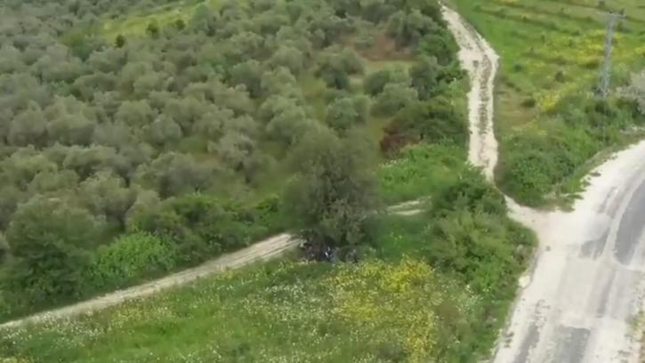 Hatay’da 42 düzensiz göçmen yakalandı