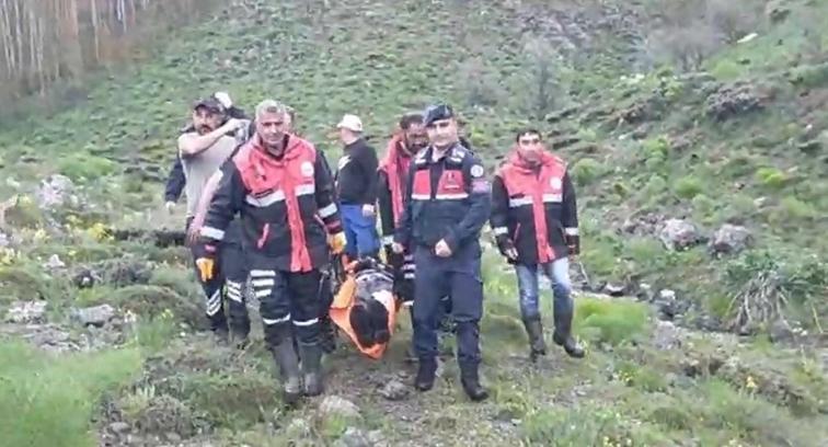 Mantar toplarken ayı saldırısında yaralandı