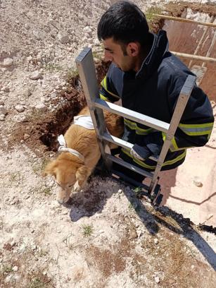 Mardin’de inşaat çukuruna düşen köpeği itfaiye kurtardı
