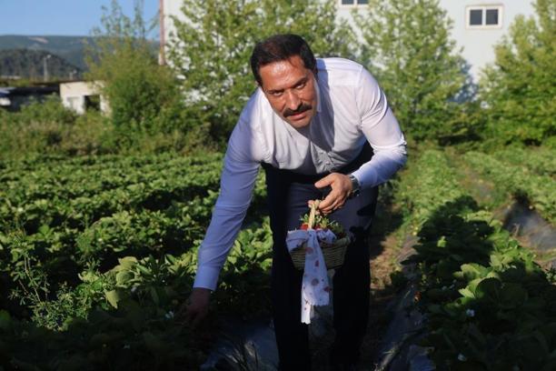 Hatay 10 bin 900 ton rekolteyle rekor kıracak!