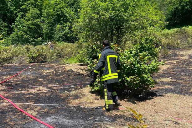 Türkeli'de otluk alanda çıkan yangın söndürüldü