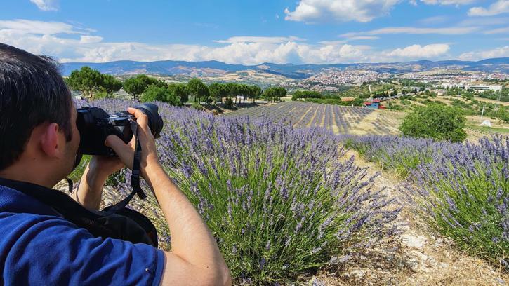 Mora bürünen lavanta tarlaları fotoğraf tutkunlarının yeni rotası oldu